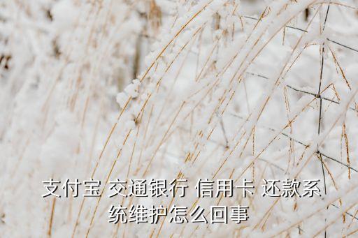  支付寶 交通銀行 信用卡 還款系統維護怎么回事