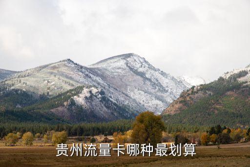中國聯通貴州收入