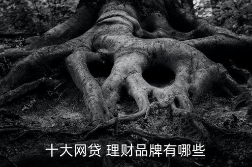 十大網貸 理財品牌有哪些