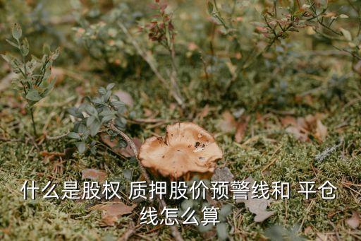 什么是股權 質押股價預警線和 平倉線怎么算