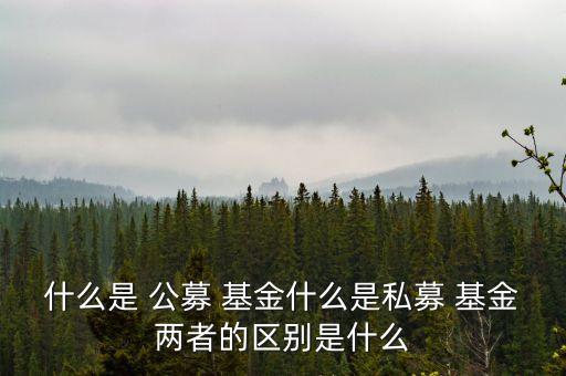 什么是 公募 基金什么是私募 基金兩者的區別是什么
