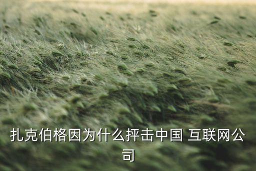 中國互聯網被美國