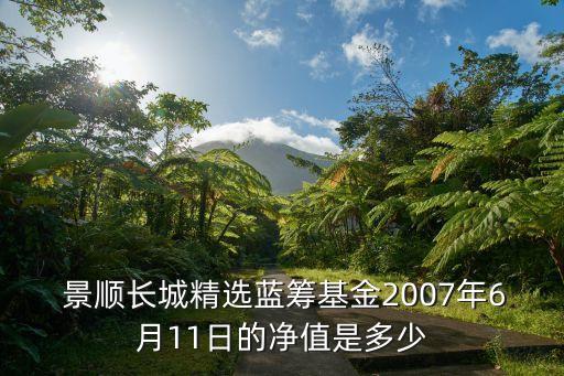 景順股票,景順新能源產業股票A