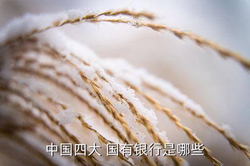 國有商業銀行上市了幾家,中國有幾大國有商業銀行