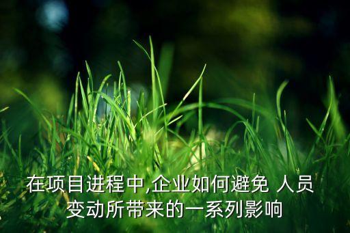 在項目進程中,企業如何避免 人員 變動所帶來的一系列影響