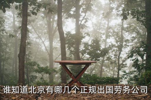 誰知道北京有哪幾個正規出國勞務公司