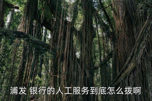 浦發 銀行的人工服務到底怎么撥啊