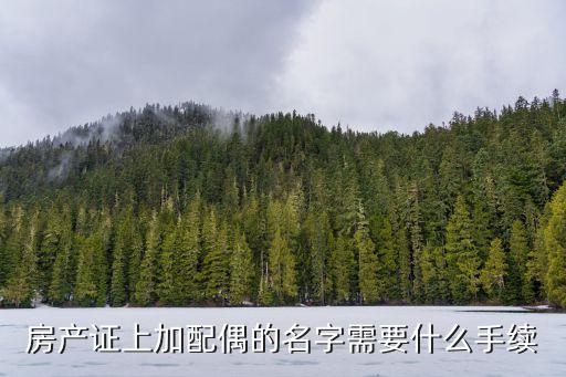 房產證上加配偶的名字需要什么手續