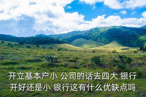 開立基本戶小 公司的話去四大 銀行開好還是小 銀行這有什么優缺點嗎