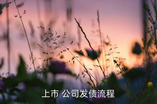 公司債券發行公告,可轉換公司債券發行公告