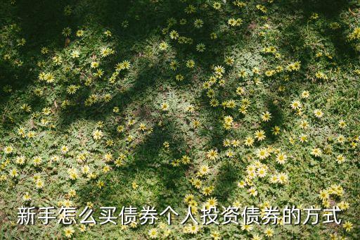 個人如何購買公司債,如何購買個人養老金