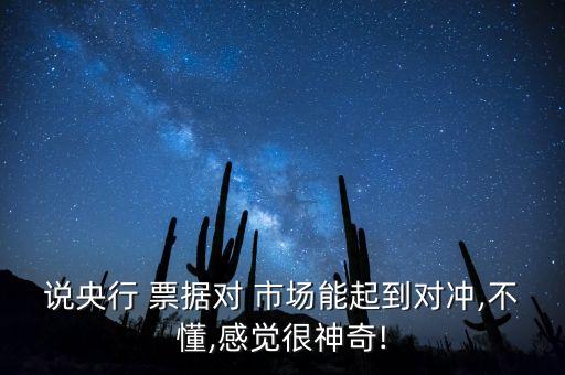 中國票據市場投資