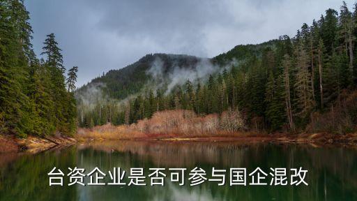 臺資企業是否可參與國企混改