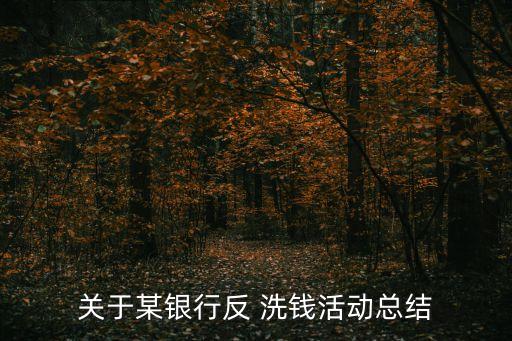 關于某銀行反 洗錢活動總結