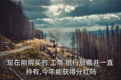 現在剛購買的 工商 銀行股票并一直 持有,今年能獲得分紅嗎