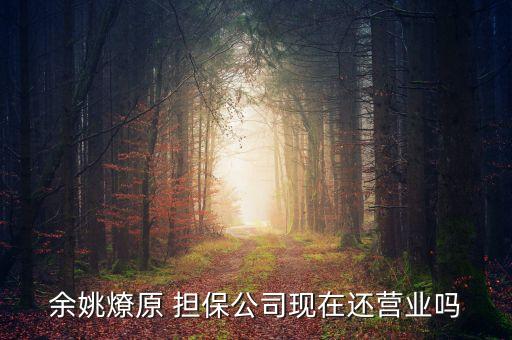 余姚燎原 擔保公司現在還營業嗎