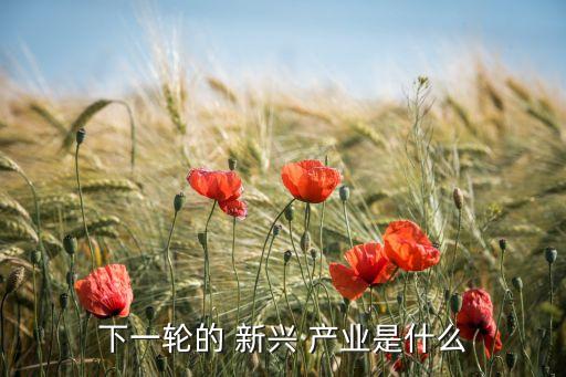下一輪的 新興 產業是什么