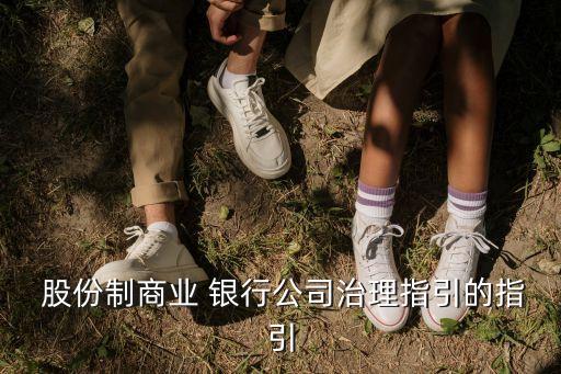 政府如何監管股份制銀行