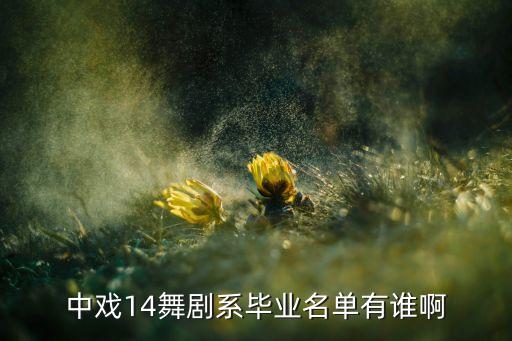 中戲14舞劇系畢業名單有誰啊