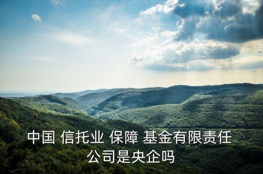 中國 信托業 保障 基金有限責任 公司是央企嗎