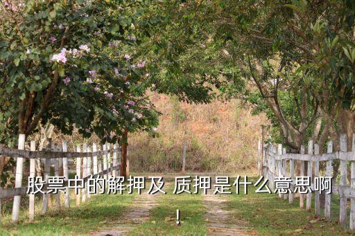 股票中的解押及 質押是什么意思啊!