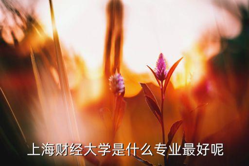  上海財經大學是什么專業最好呢