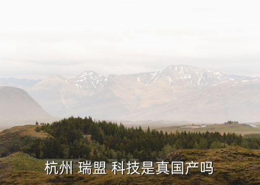 杭州 瑞盟 科技是真國產嗎