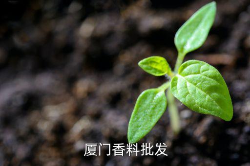  廈門香料批發