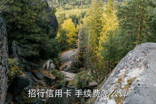 招行信用卡 手續費怎么算