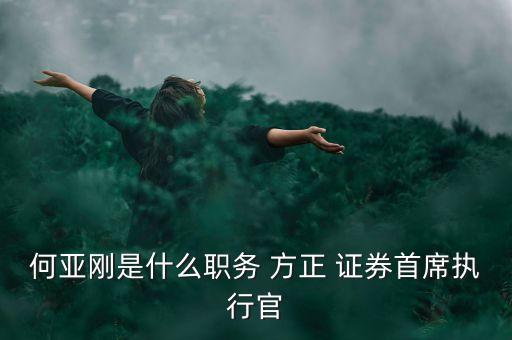 何亞剛是什么職務 方正 證券首席執行官