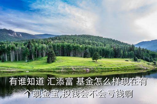 有誰知道 匯添富 基金怎么樣現在有個現金寶,投錢會不會虧錢啊