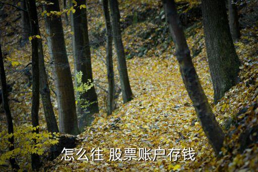股票保證金轉入儲蓄