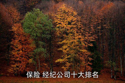 保險 經紀公司十大排名