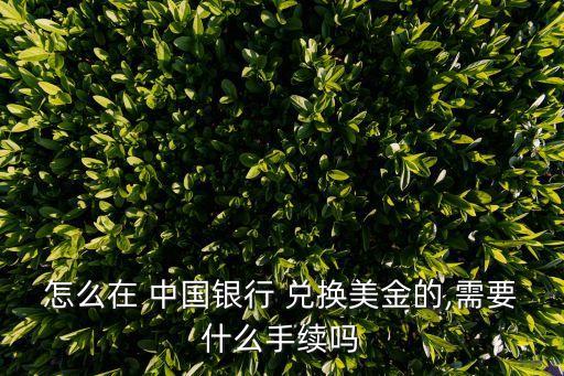 中國銀行網上兌換美元