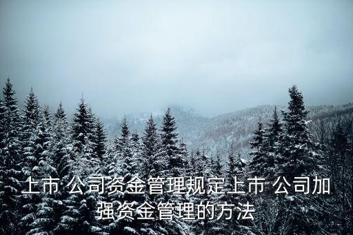 上市 公司資金管理規定上市 公司加強資金管理的方法