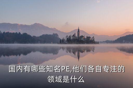 資本追捧的投資行業,外國資本投資中國哪些行業