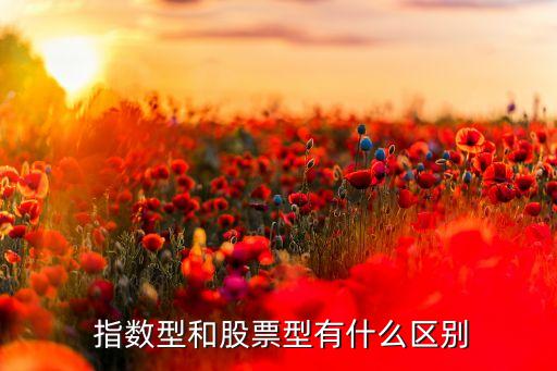  指數型和股票型有什么區別
