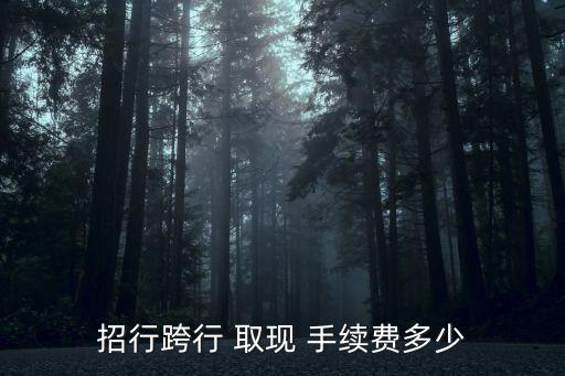 招商銀行atm取現手續費,農行卡在招商銀行ATM 手續費多少