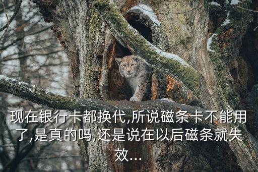 北京公交卡發卡量,公交卡發卡點在哪里