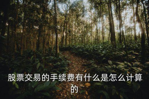  股票交易的手續費有什么是怎么計算的