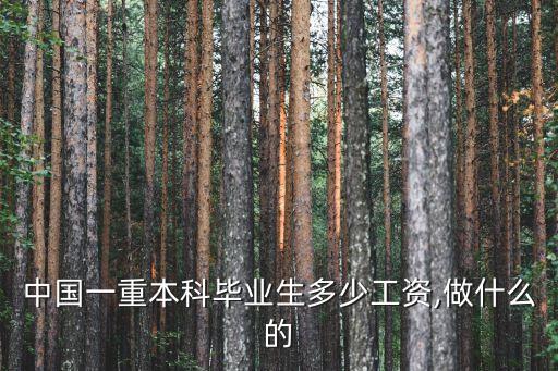 中國一重本科畢業生多少工資,做什么的