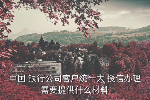 中國 銀行公司客戶統一大 授信辦理需要提供什么材料