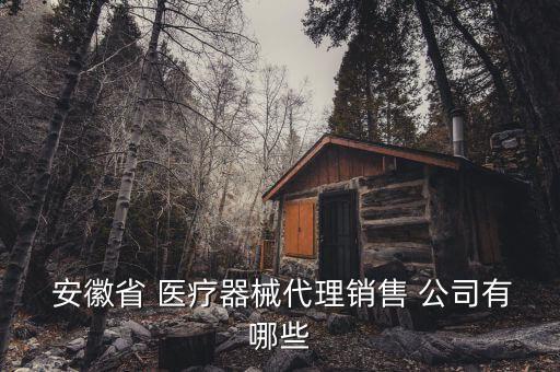  安徽省 醫療器械代理銷售 公司有哪些