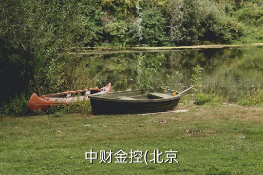 中財金控(北京