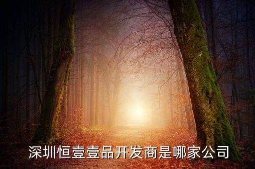 深圳前海鐵野投資發展有限公司