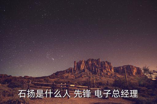 石揚是什么人 先鋒 電子總經理