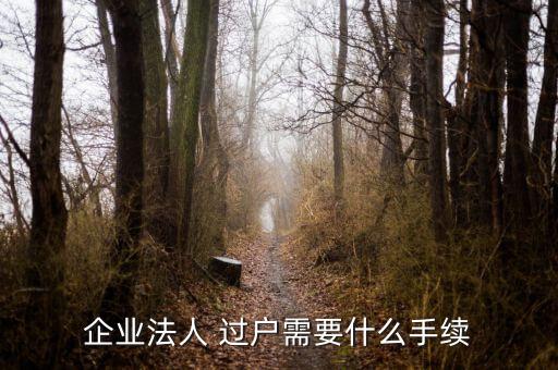 企業法人 過戶需要什么手續