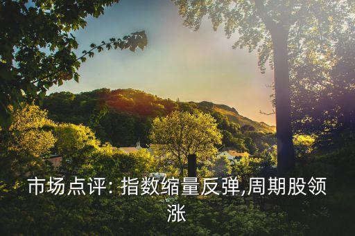市場點評: 指數縮量反彈,周期股領漲
