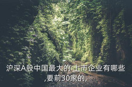 滬深A股中國最大的 上市企業有哪些,要前30家的,