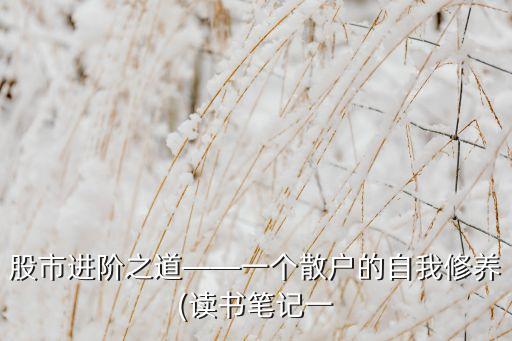 股市進階之道——一個散戶的自我修養(讀書筆記一